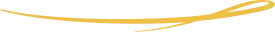 ligne décorative
